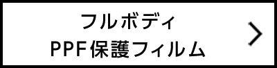 フルボディPPF